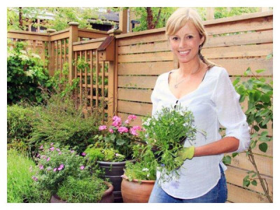 What to plant in a flower bed in spring so that it blooms all summer