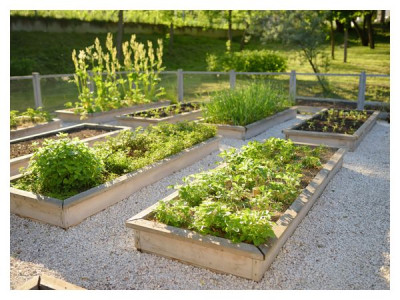 «Lazy» garden: how to cut maintenance in half