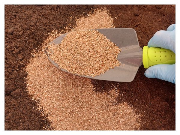 Що додати в ґрунт для розсади, щоб вона росла міцною і здоровою  