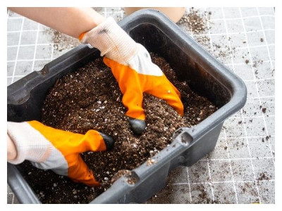 7 recipes for soil for seedlings that you can prepare now