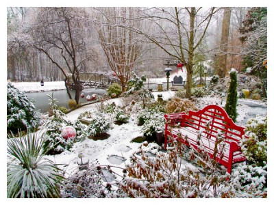 December: 10 most important things to do in the garden