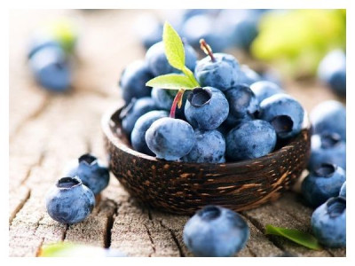 Blueberries - peculiarities of summer care 