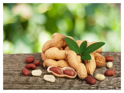 How to grow peanuts