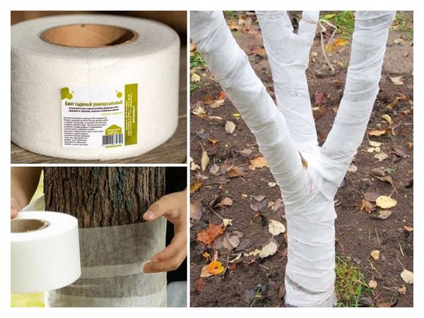 Садовий бинт: як використовувати і чим замінити  