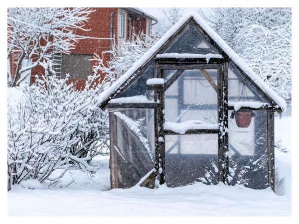 Як змусити теплицю приносити користь узимку