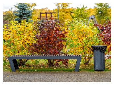 «Kings of autumn»: 10 shrubs that shine at season’s end