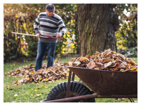 Корисні лайфхаки для городу в жовтні