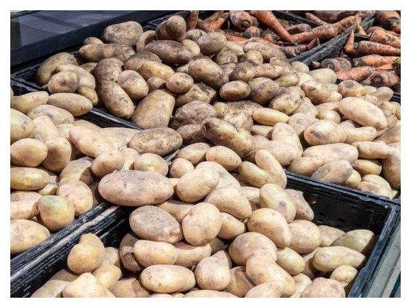 5 помилок зимового зберігання овочів