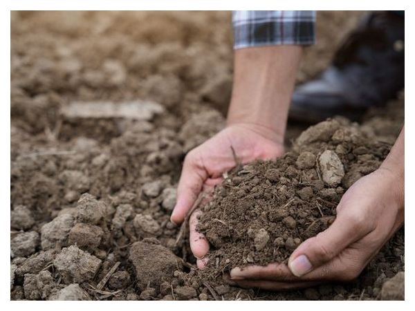 Природні методи відновлення ґрунту