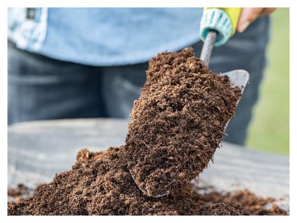 Підготовка та зберігання ґрунту для розсади