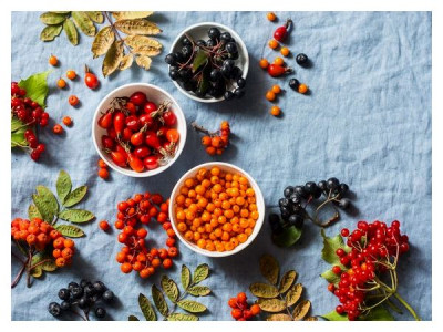 «Autumn» berries on the plot