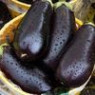 Eggplant seeds