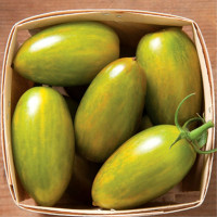 Tomato seeds «Green tiger» 