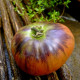 Tomato seeds «Ozark Sunrise» 