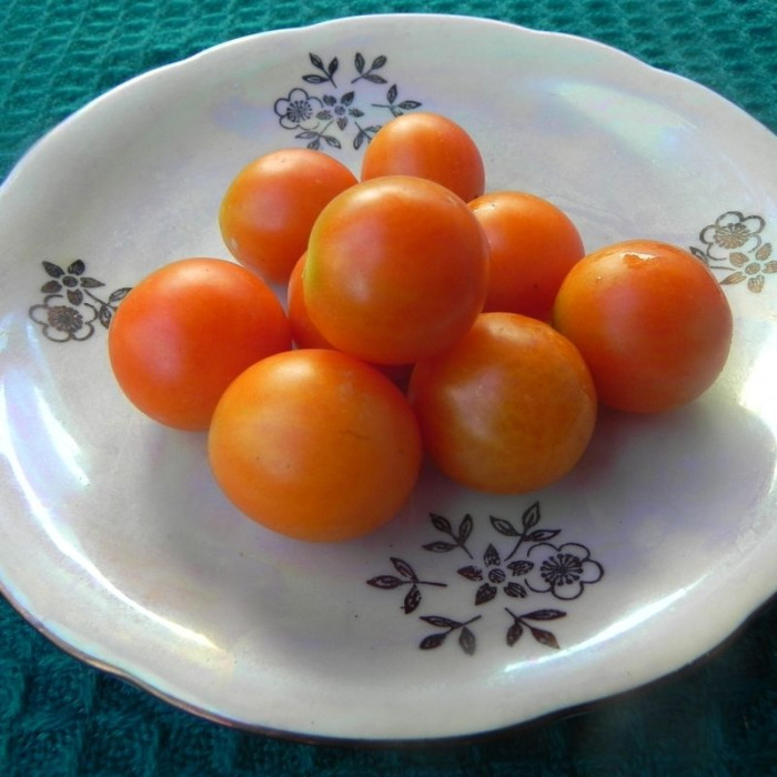 Насіння томату «Зимове чері»