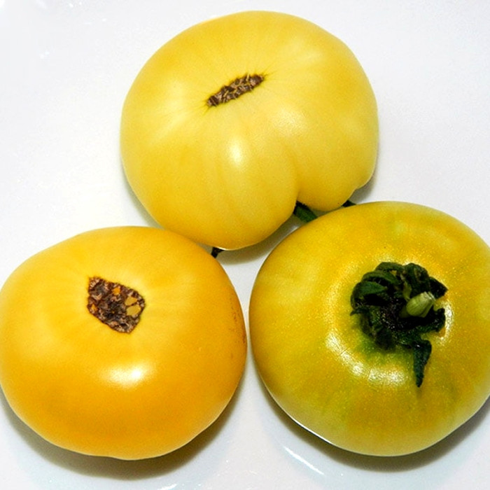 Tomato seeds «Tiger paw» 