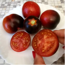 Семена томата «Тёмная галактика»