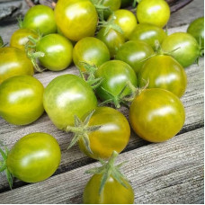 Насіння томату «Грінч»
