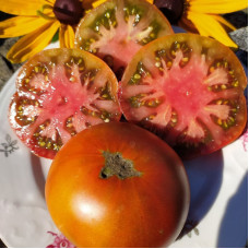 Tomato seeds «Mulatto» 