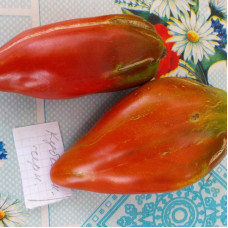 Tomato seeds «Cuban black» 