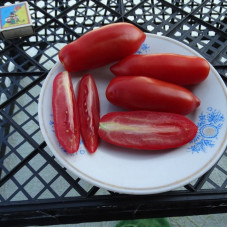 Tomato seeds «Dix doigts de Naples» 