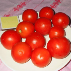 Tomato seeds «Upstart» 