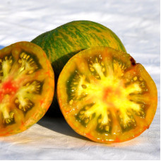 Насіння томату «Пульсар Діна»