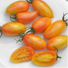Насіння томату «Рум'янець»