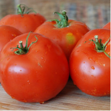 Tomato seeds «Ultra early» 