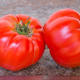 Tomato seeds «Marlowe Charleston» 
