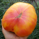 Насіння томату «Велика веселка»