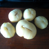 Семена томата «Великий пломбір»