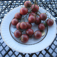 Tomato seeds «Cherry black» 