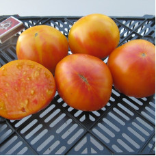 Насіння томату «Сільський»