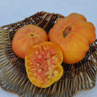 Tomato seeds «Mary Robinson German» 