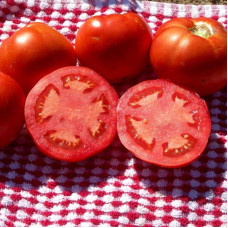 Tomato seeds «Pietin» 