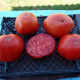 Tomato seeds «Carol Chyko's Big Paste» 