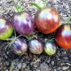 Tomato seeds «Kaleidoscopic jewel» 