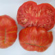 Tomato seeds «Solar Flare XL» 