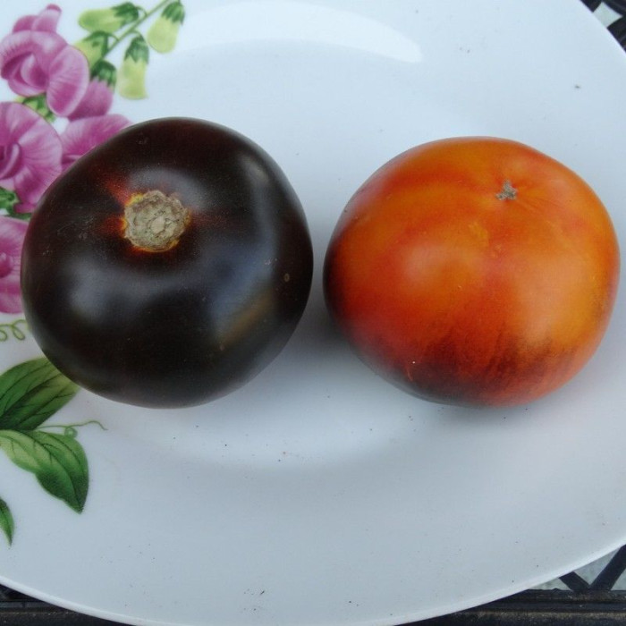 Насіння томату «Клементина синя»