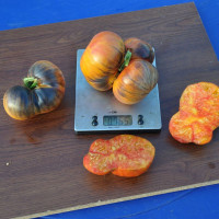 Tomato seeds «Dnieper sunset» 