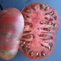 Tomato seeds «Dark Queen» 