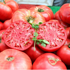 Насіння томату «Королевский дар царя»