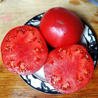 Семена томата «МакКинли»