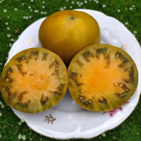 Tomato seeds «Elser Farm's Brown Derby» 