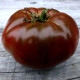 Tomato seeds «1884 Purple» 