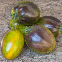 Семена томата «Атомный сплав»