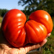 Tomato seeds «Sicilian saucer» 