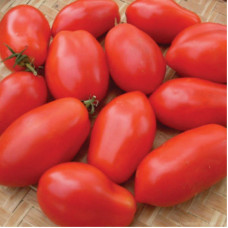 Tomato seeds «Chizhik» 
