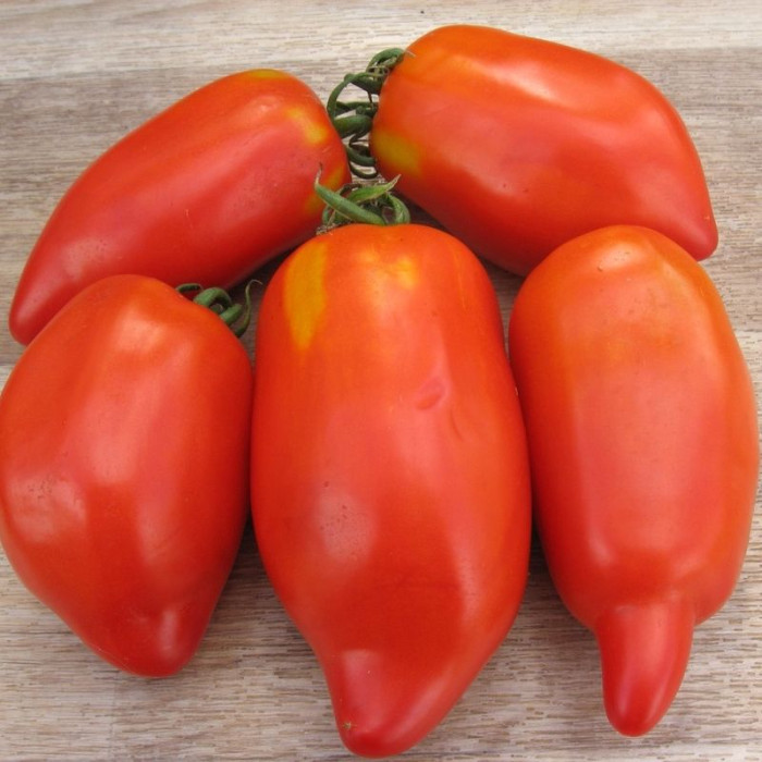 Tomato seeds «Pepper plum» 